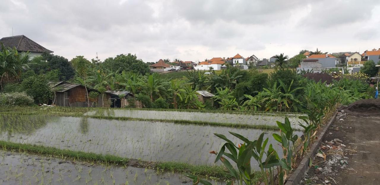 Pd Bali Guesthouse Canggu  Luaran gambar