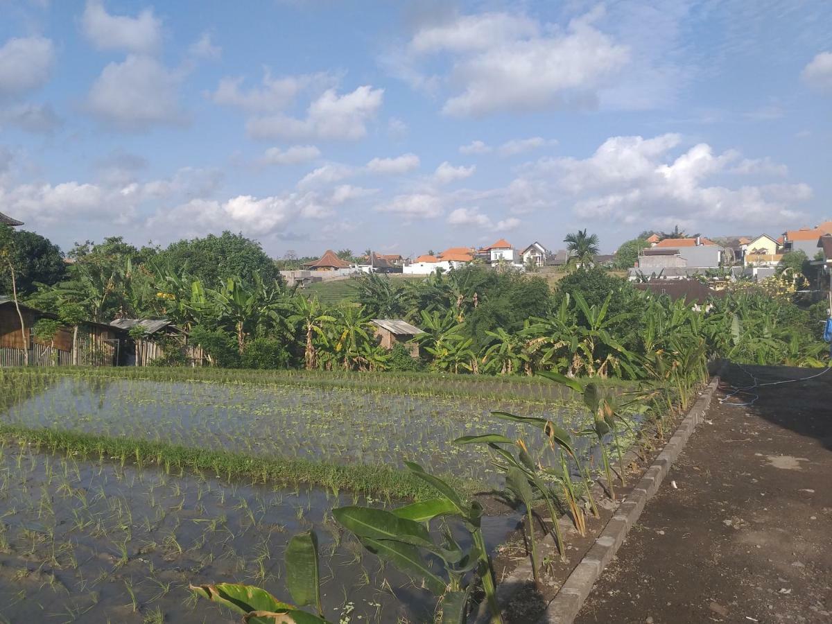 Pd Bali Guesthouse Canggu  Luaran gambar